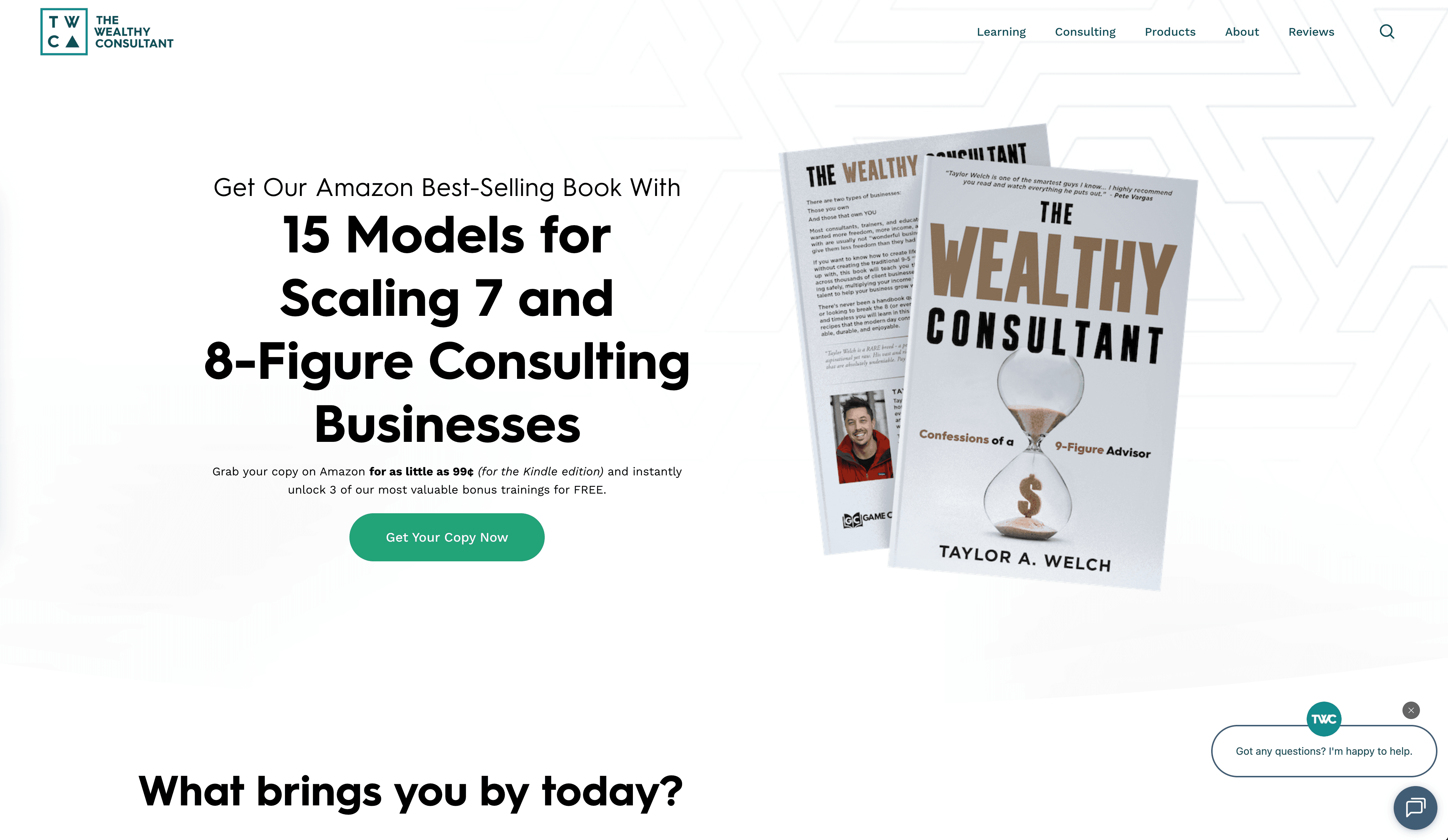 Screenshot of the wealthy consultant website, a progression of traffic and funnels